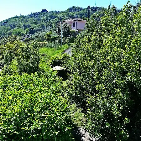 La Collina Di Albiro Arcola